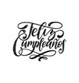 feliz cumpleanos translated from spanish happy vector image