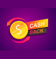 cash back offer banner promotion refund vector image vector image