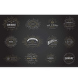 sunburst on starburst element set for logo vector image