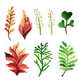 watercolor spring floral and leaves collection vector image