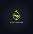 droplet seed gold leaf logo vector image vector image