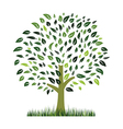 green grass ans tree vector image