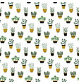 seamless pattern with culinary herbs in pots vector image