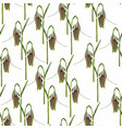 seamless pattern with flower imperial fritillary vector image