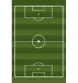 soccer textured field vector image vector image
