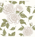 white rose flowers buds and leaves seamless vector image