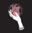 human heart in graceful female hand isolated vector image vector image
