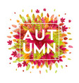 hello autumn different colored autumn leaves vector image vector image