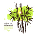 background with hand drawn sketch bamboo vector image