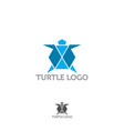 two colorful turtles on white background wild vector image vector image