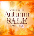 autumn sale background template with leaves vector image