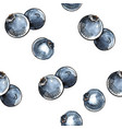 blueberry seamless pattern vector image vector image