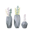 set flowers in vases stylish vase with plants vector image vector image