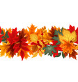 autumn seamless border with falling leaves vector image
