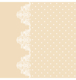 lace border on beige background vector image vector image