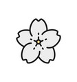 sakura flower flat color line icon vector image