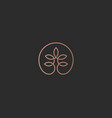 linear tree flower logotype universal premium vector image vector image