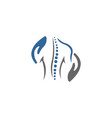 healthy spine vector image vector image