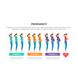 pregnancy infographic concept for slide vector image