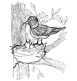 coloring page with birds vector image