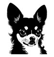 chihuahua dog head for your vector image vector image