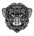 fauna entangle monkey full ornament vector image