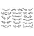 wedding floral graphic elements set dividers vector image