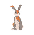 cute rabbit harlequin breed with multicolor vector image vector image