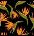 tropical flowers seamless pattern vector image vector image