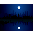 city at night vector image