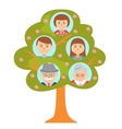 cartoon generation family tree isolated on white vector image