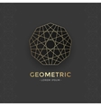 geometric sacred symbol vector image