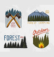 mountains and wooden logo coniferous forest vector image