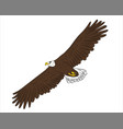 cartoon flying wild eagle in isolate on a white vector image