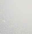 grunge background vector image vector image
