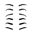 eyebrows pencil man shape female eye brow vector image