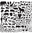 all the animals of africa vector image