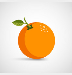Fresh orange Royalty Free Vector Image - VectorStock