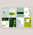 set of brochure and annual report design templates vector image vector image