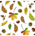 autumn leaves pattern seamless texture vector image
