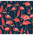 graphic seamless pattern of red flamingo vector image