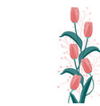 red tulip and herbs elegant card vector image vector image