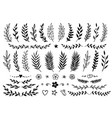 set of hand drawn branches and flowers vector image vector image