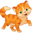 red cat vector image