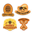 beekeeping and honey production farm products vector image