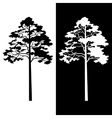 pine trees black and white silhouettes vector image