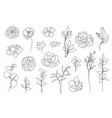 set hand drawn single continuous line vector image vector image