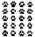print of dogs paws vector image vector image