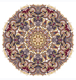circle ornament ornamental round lace vector image