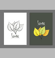 golden leaves covers vector image